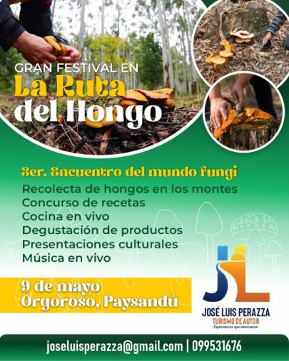 Tercer Encuentro del Mundo Fungi