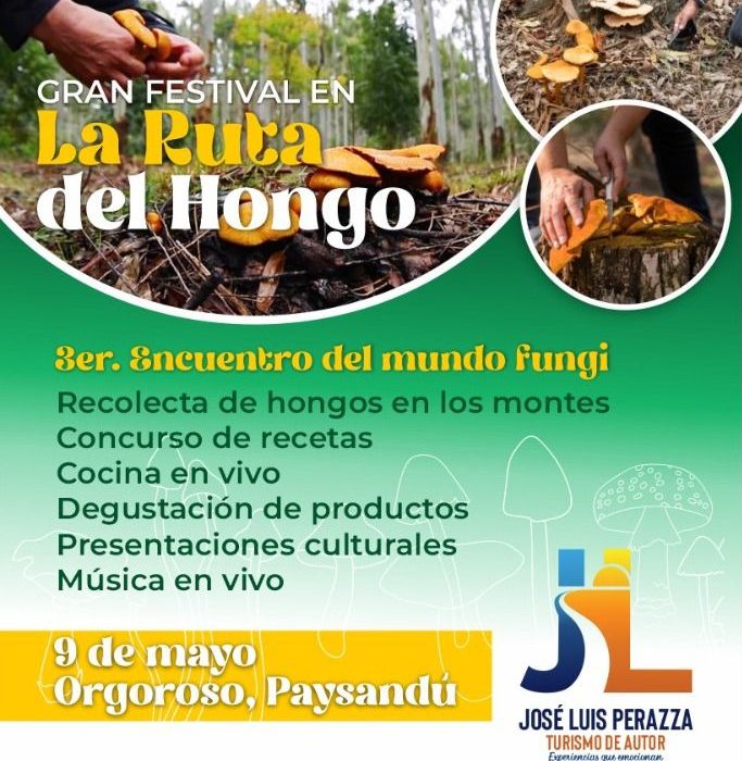 Tercer Encuentro del Mundo Fungi