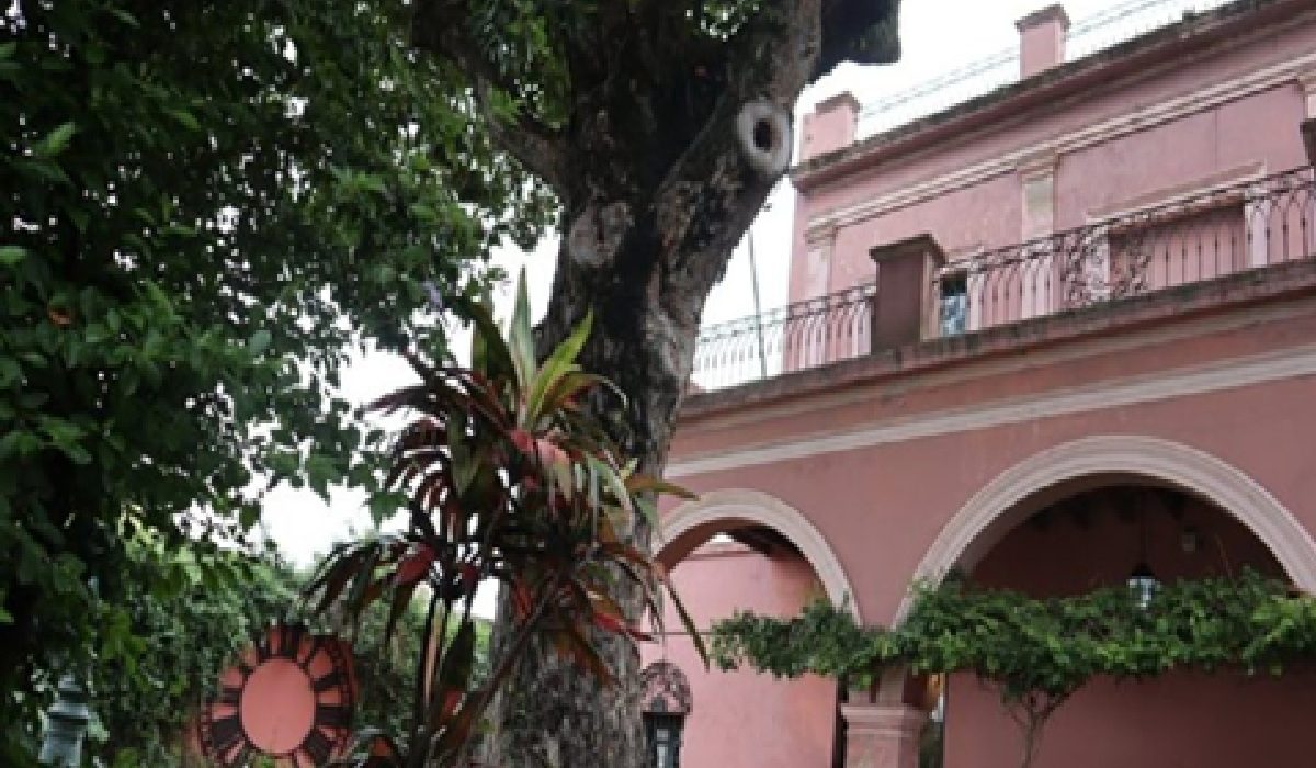 Los Museos Municipales tendrán horarios especiales durante el fin de semana largo