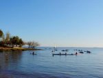 Ingresaron a Uruguay 941.715 personas entre el 20 de diciembre y el 26 de enero