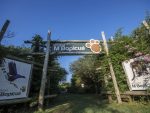 Emprendimientos vinculados al turismo náutico recibirán apoyo de hasta 900.000 pesos para su desarrollo
