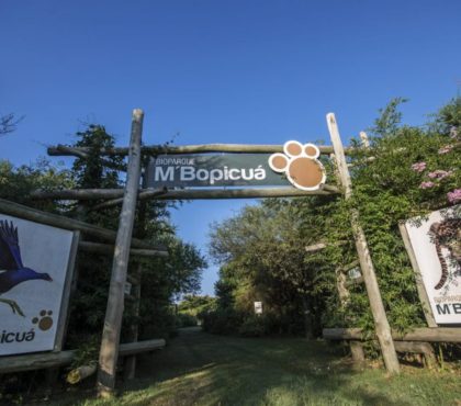 Bioparque M'Bopicuá abre sus puertas con visitas gratuitas en Semana de Turismo