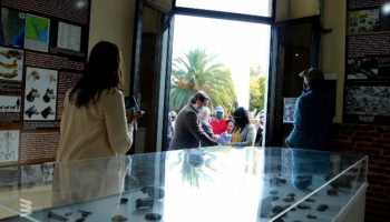 Museo Arqueológico MABRU