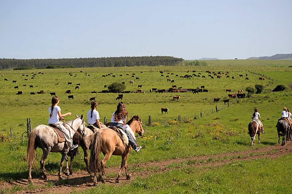 Fondo concursable para el fortalecimiento de la oferta de turismo en espacios rurales y naturales